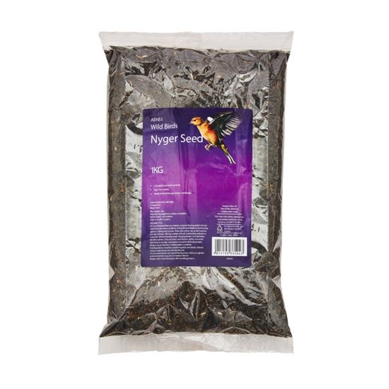 ambassador-nyger-seed