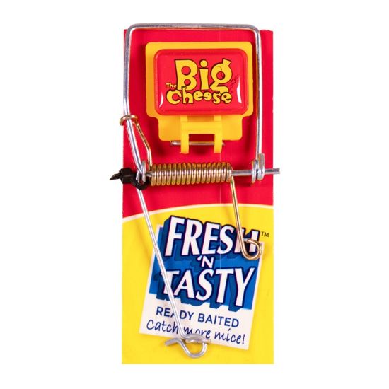 the-big-cheese-fresh-baited-mouse-trap