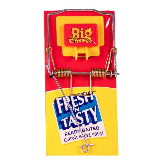 the-big-cheese-fresh-baited-rat-trap