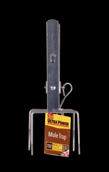 the-big-cheese-mole-claw-trap