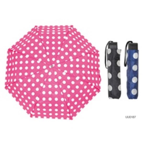 laltex-ladies-penny-spot