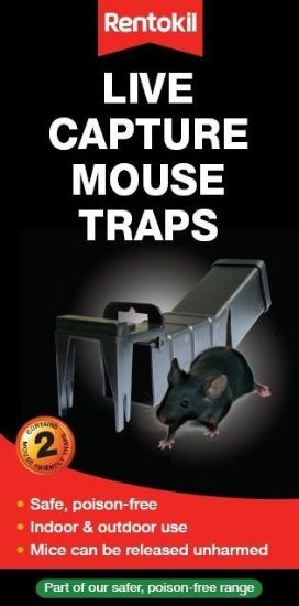 rentokil-live-capture-mouse-traps