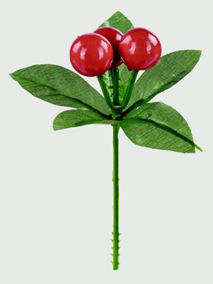 premier-berry-pick