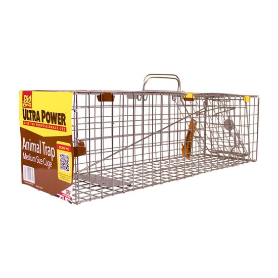 the-big-cheese-animal-trap