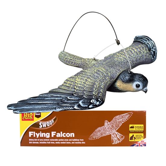 the-big-cheese-flying-falcon