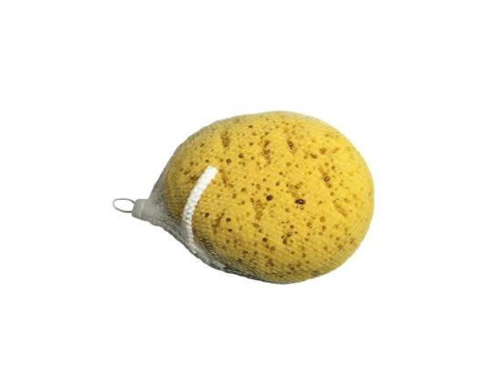 blue-canyon-body-sponge