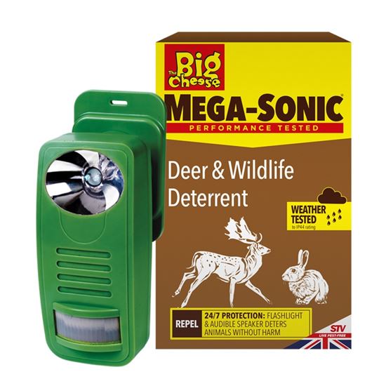 the-big-cheese-deer--wildlife-deterrent