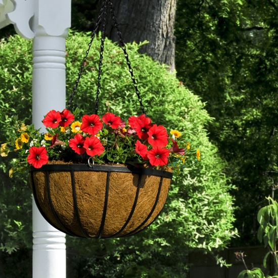 ambassador-flat-bar-hanging-basket