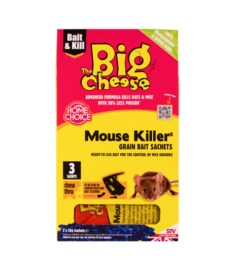 the-big-cheese-mouse-killer