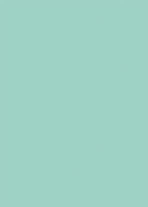 d-c-fix-self-adhesive-film---glossy-mint