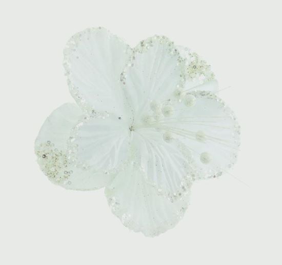 premier-hibiscus-flower