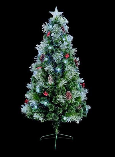 premier-snow-tip-tree-white-pinecone-berries
