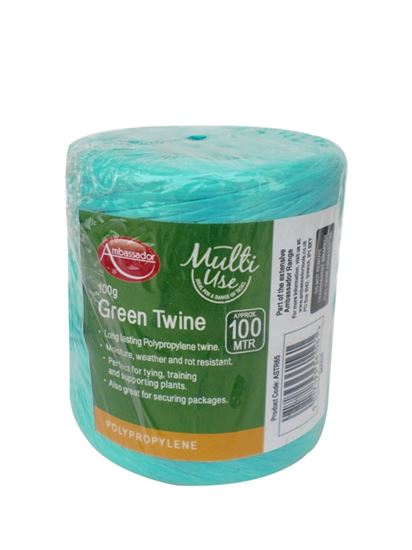 ambassador-green-poly-twine-spool
