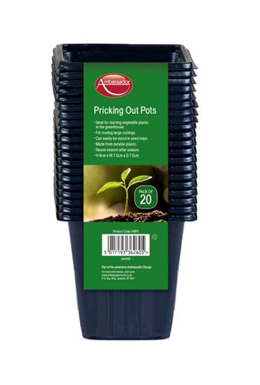 ambassador-pricking-out-pots