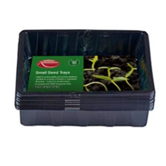 ambassador-seed-tray