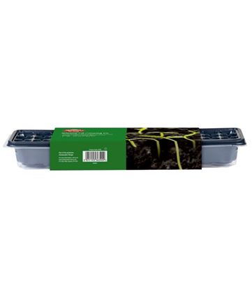 ambassador-windowsill-growing-kit
