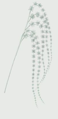 premier-glitter-hanging-spray