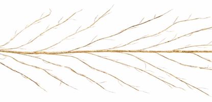 premier-warm-white-lit-branch-garland