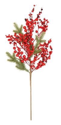 premier-red-berry-pick