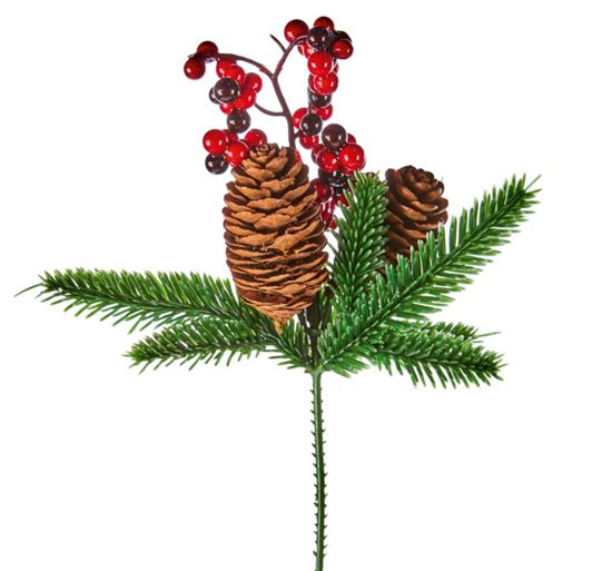 premier-red-berry-pick