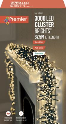 premier-3000-led-multi-action-cluster-brights-with-timer