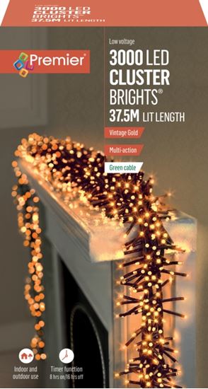 premier-3000-led-multi-action-cluster-brights-with-timer