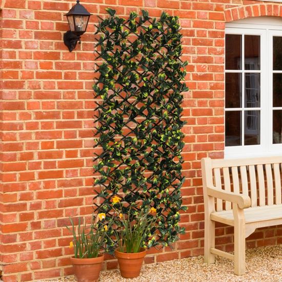 ambassador-expanding-artificial-trellis