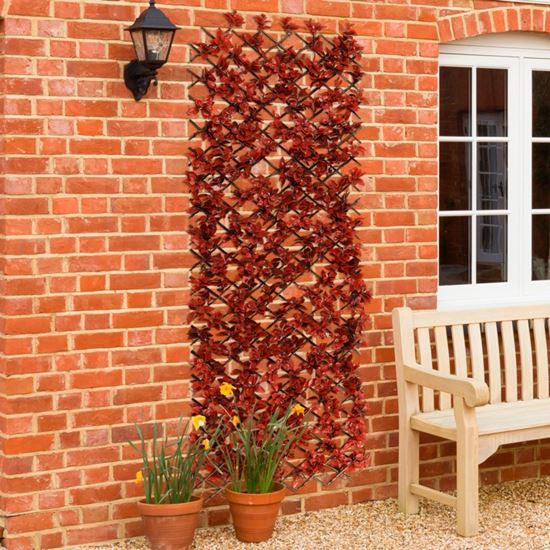 ambassador-expanding-artificial-trellis