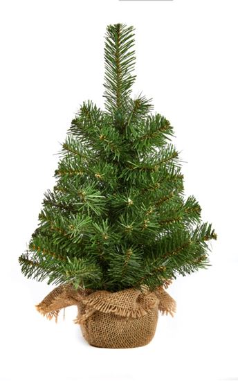 premier-burlap-tree