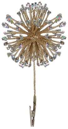 premier-sparkle-burst-clip-on