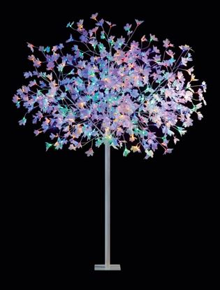 premier-multi-action-dual-col-maple-tree-multi-coloured-white