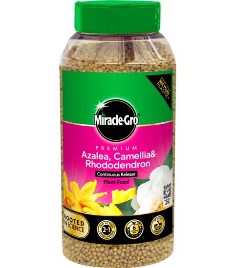 miracle-gro-azalea-camellia--rhododendron-continuous-release-plant-food