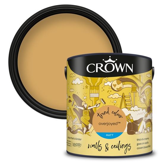 crown-walls--ceilings-matt-25l