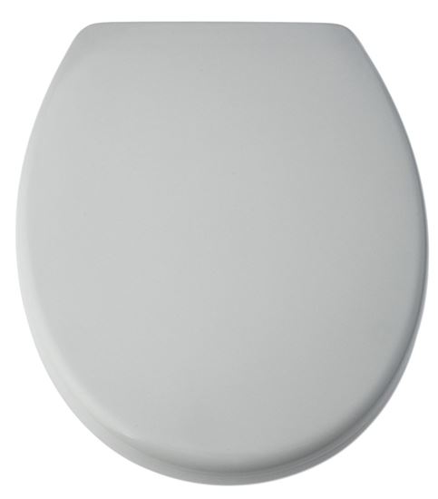 blue-canyon-duroplastic-soft-close-toilet-seat