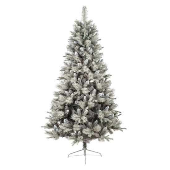 premier-deluxe-silver-tipped-fir