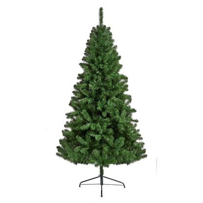 premier-northcote-pine-tree
