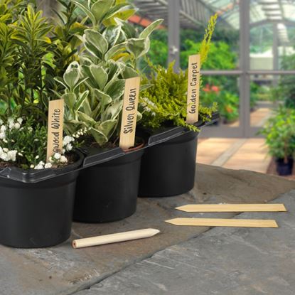 ambassador-bamboo-plant-labels--pencil-10-piece