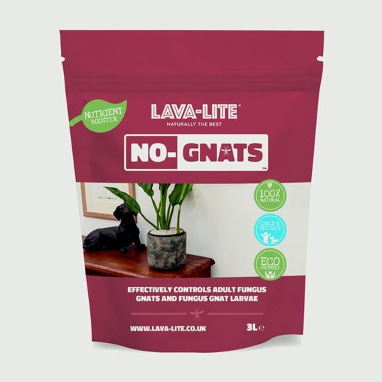 lava-lite-no-gnats-fungus-control