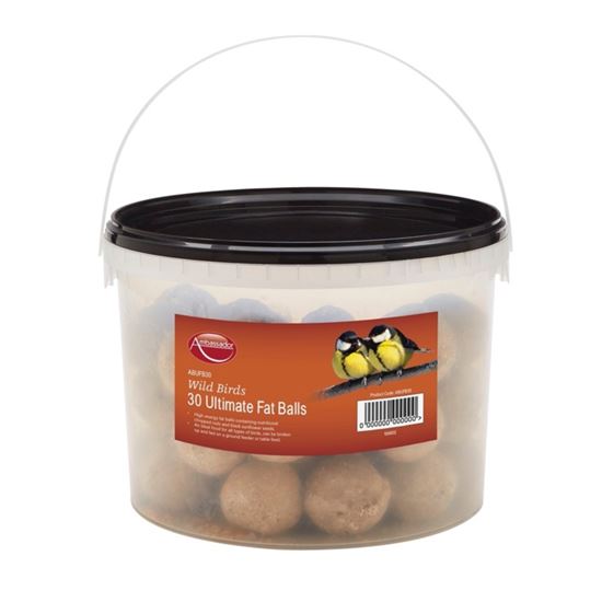 ambassador-ultimate-fat-balls