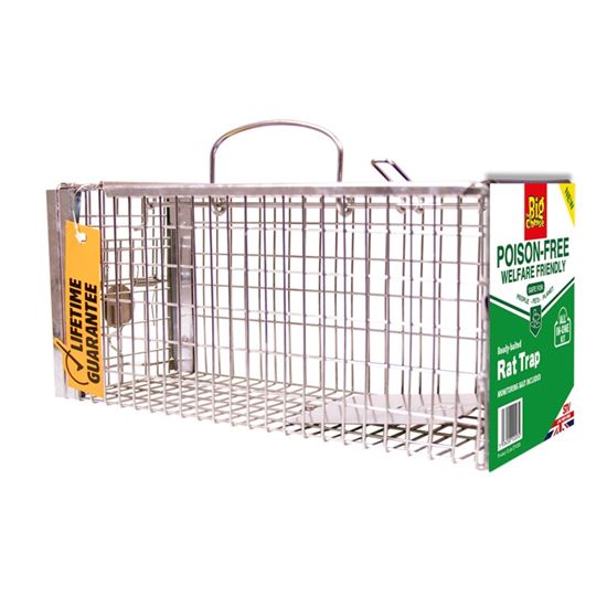 the-big-cheese-poison-free-ready-baited-rat-trap
