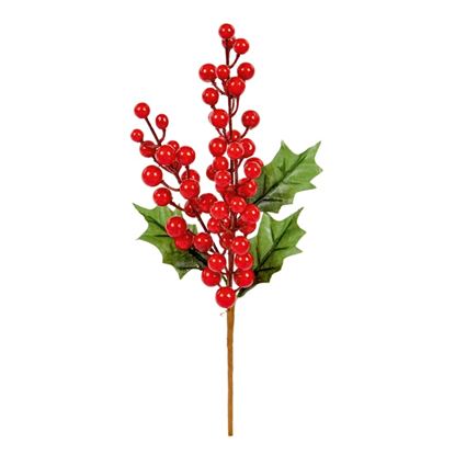 premier-berry-pick-with-holly