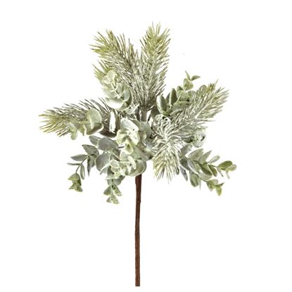 premier-eucalyptus-pick