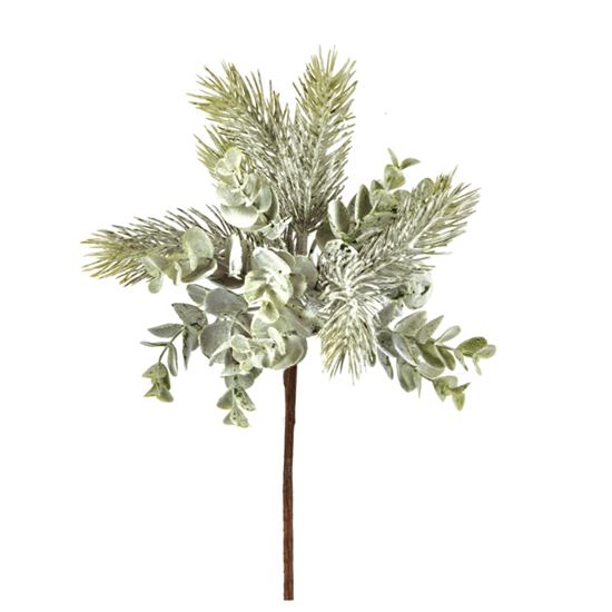 premier-eucalyptus-pick