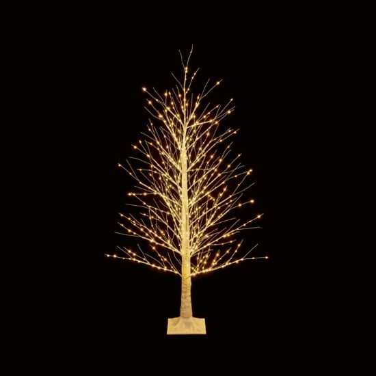 premier-15m-birch-tree-warm-white