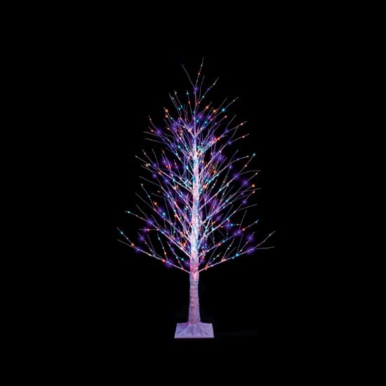 premier-18m-birch-tree-rainbow