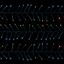 premier-5000-led-multi-action-cluster-brights-with-timer
