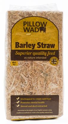 pillow-wad-maxi-barley-straw