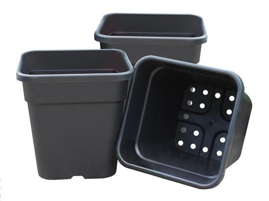 garland-25cm-square-tomato-pots