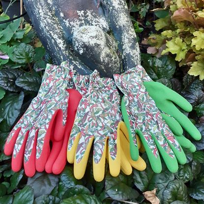 town--country-ladies-chilli-gloves