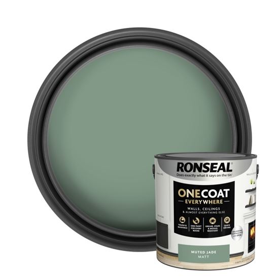 ronseal-one-coat-everywhere-matt-paint-25l